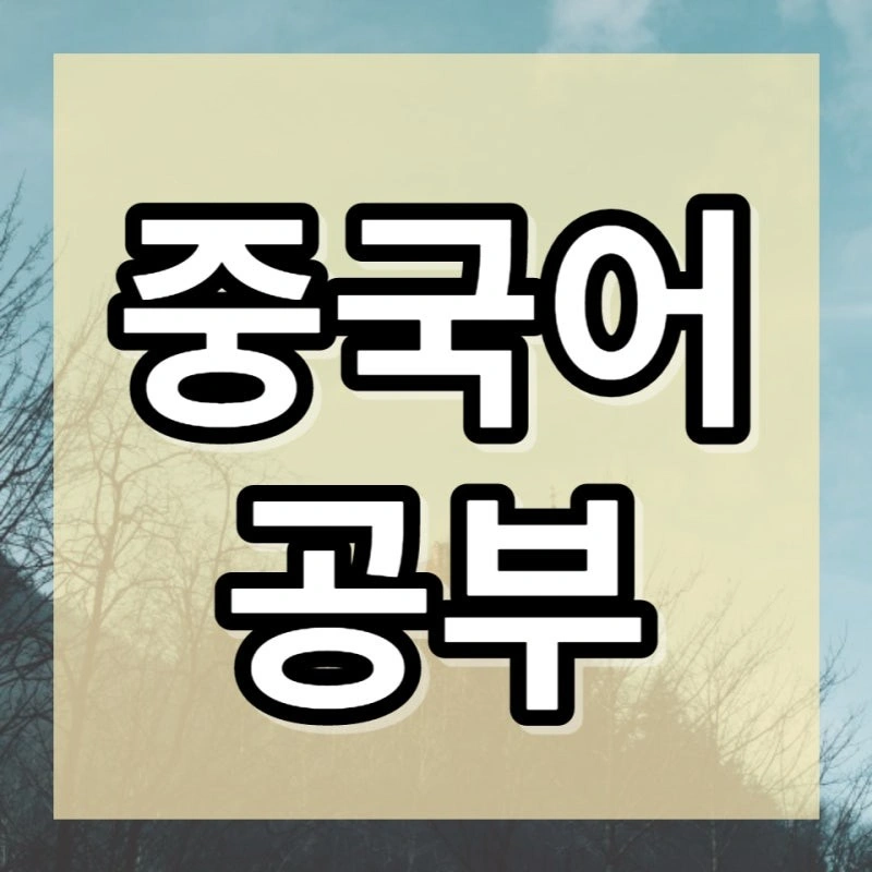 중국어 왕초보 회화/발음 선생님 구해요