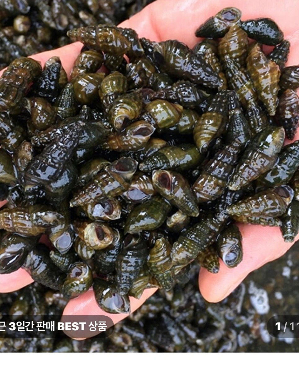 부업 올갱이 까는일 외국인 환영합니다.(경험자)환영
