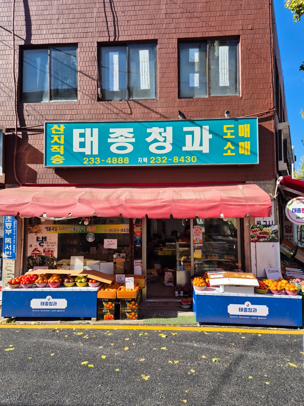 과일 가게 배달, 정리 해주실 분 구해요. 공고 썸네일