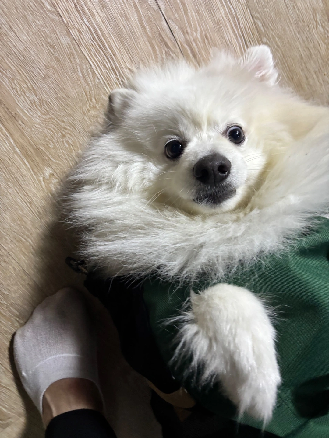 뉴코뮤직타운 신림점에서 함께일할 직원을 모집합니다