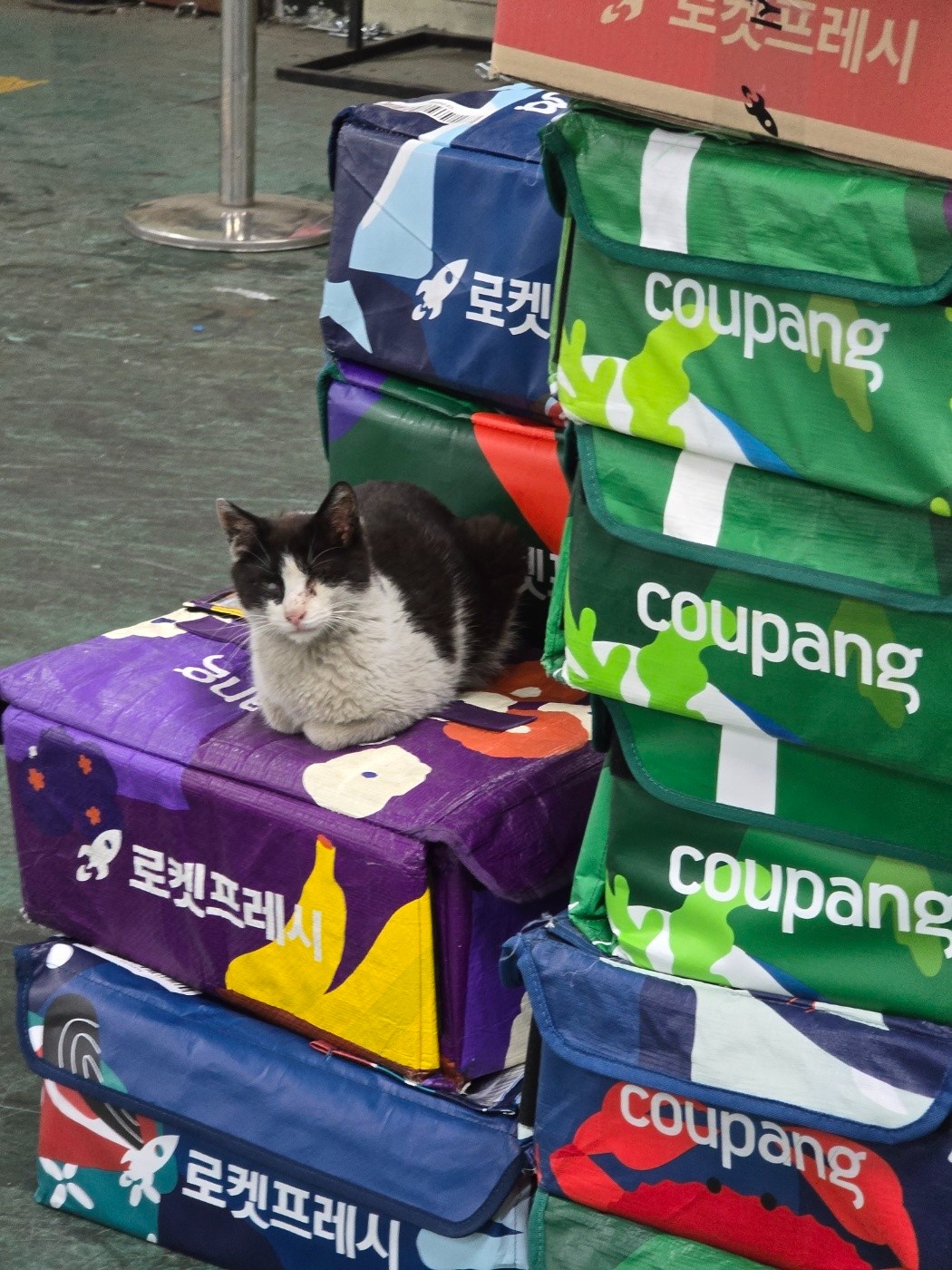택배배송업무(쿠팡) 공고 썸네일