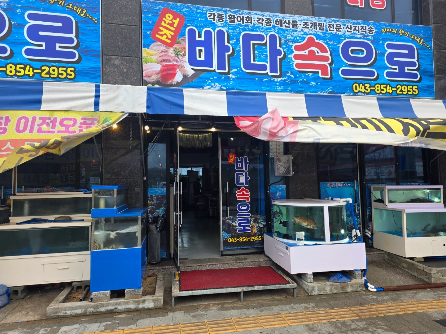 홀써빙.여 (횟집서빙유경험자우대)