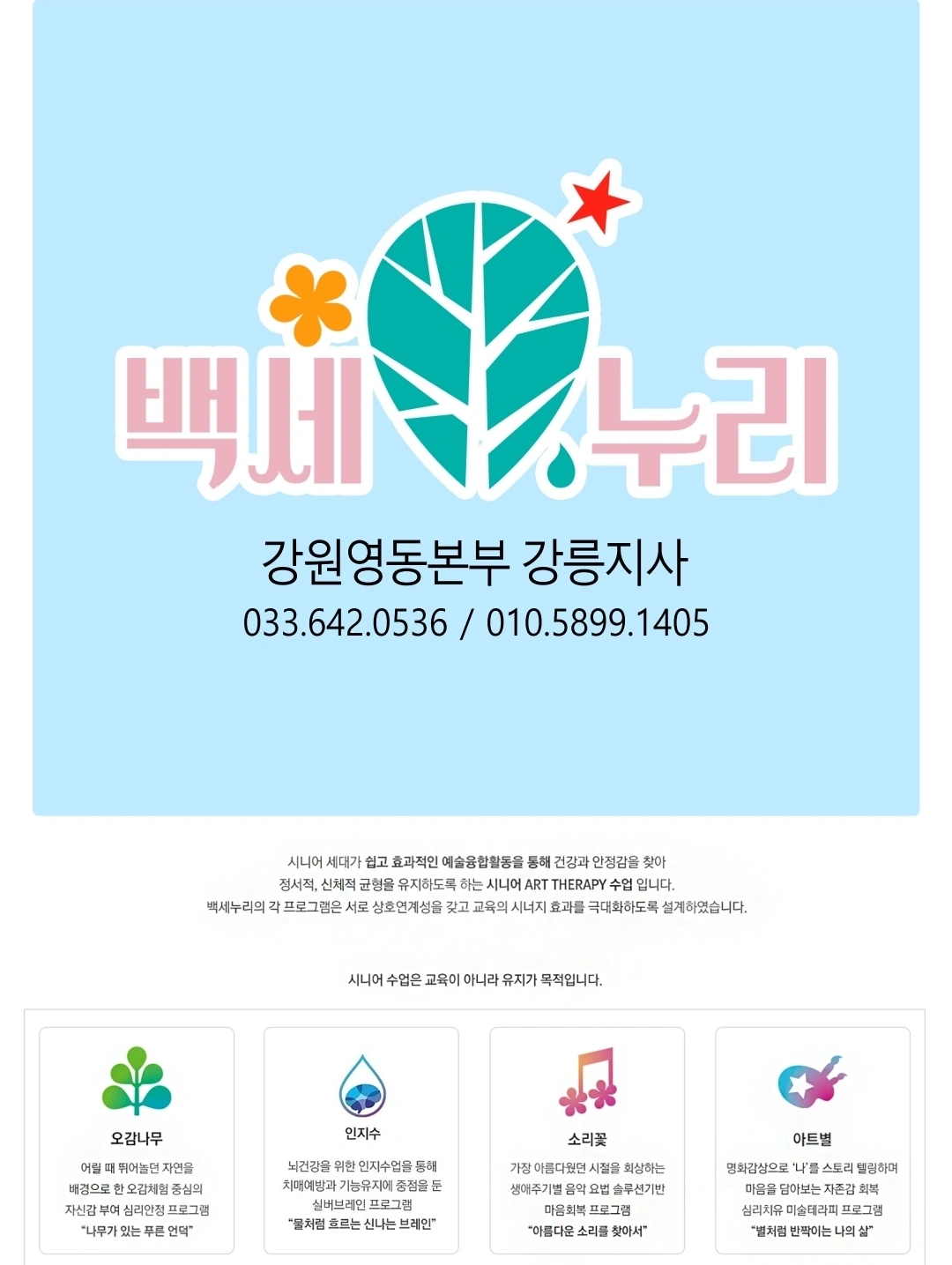 백세누리 시니어인지놀이강사 모집
