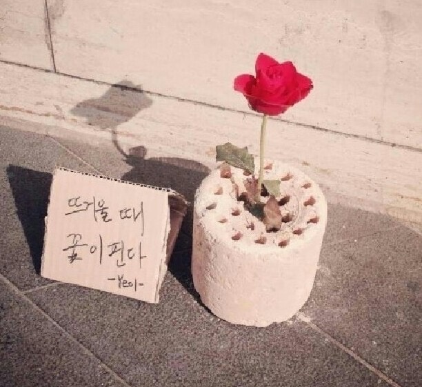 18개월 남아 등원 도우미 부탁드려요~! 공고 썸네일