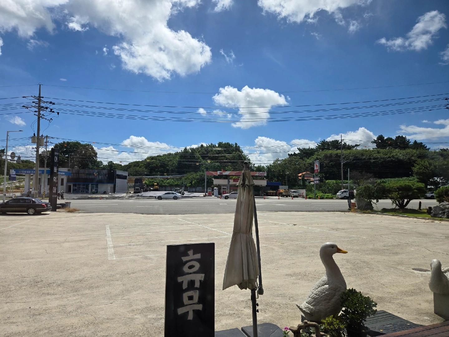 설겆이구합니다. 외국인 환영!!