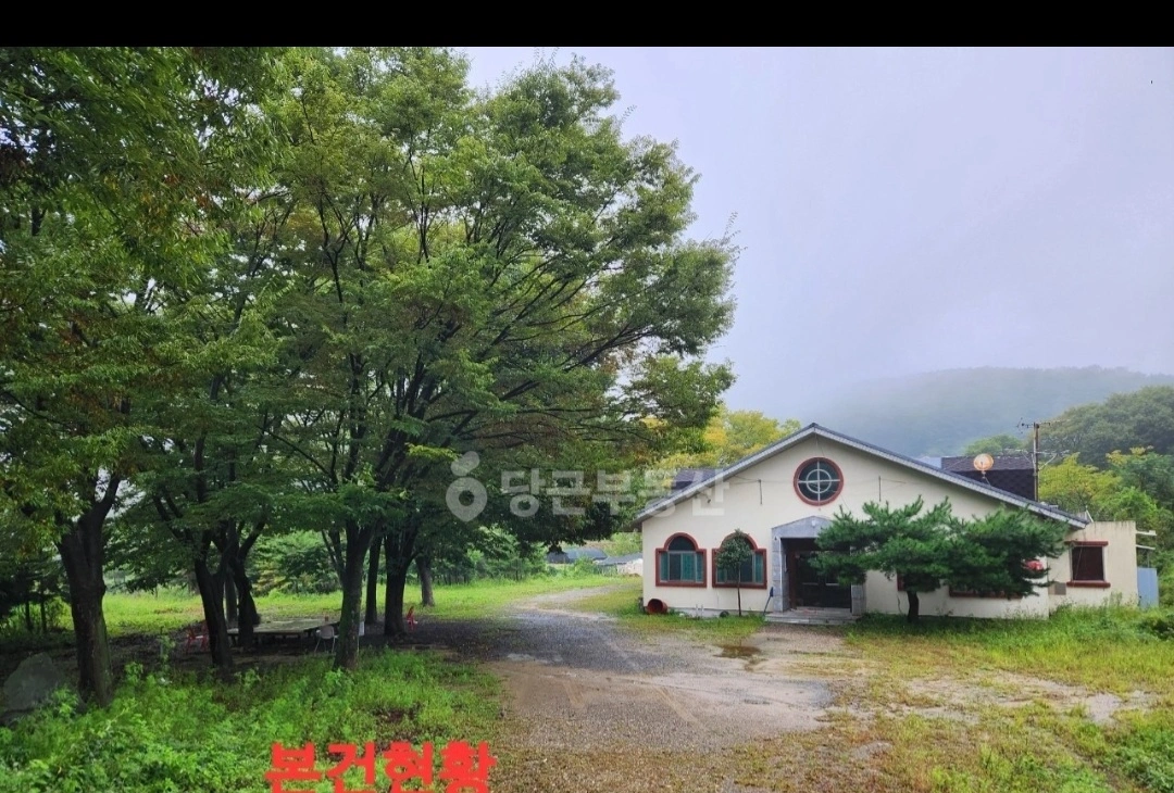 캠핑장 나무 베기