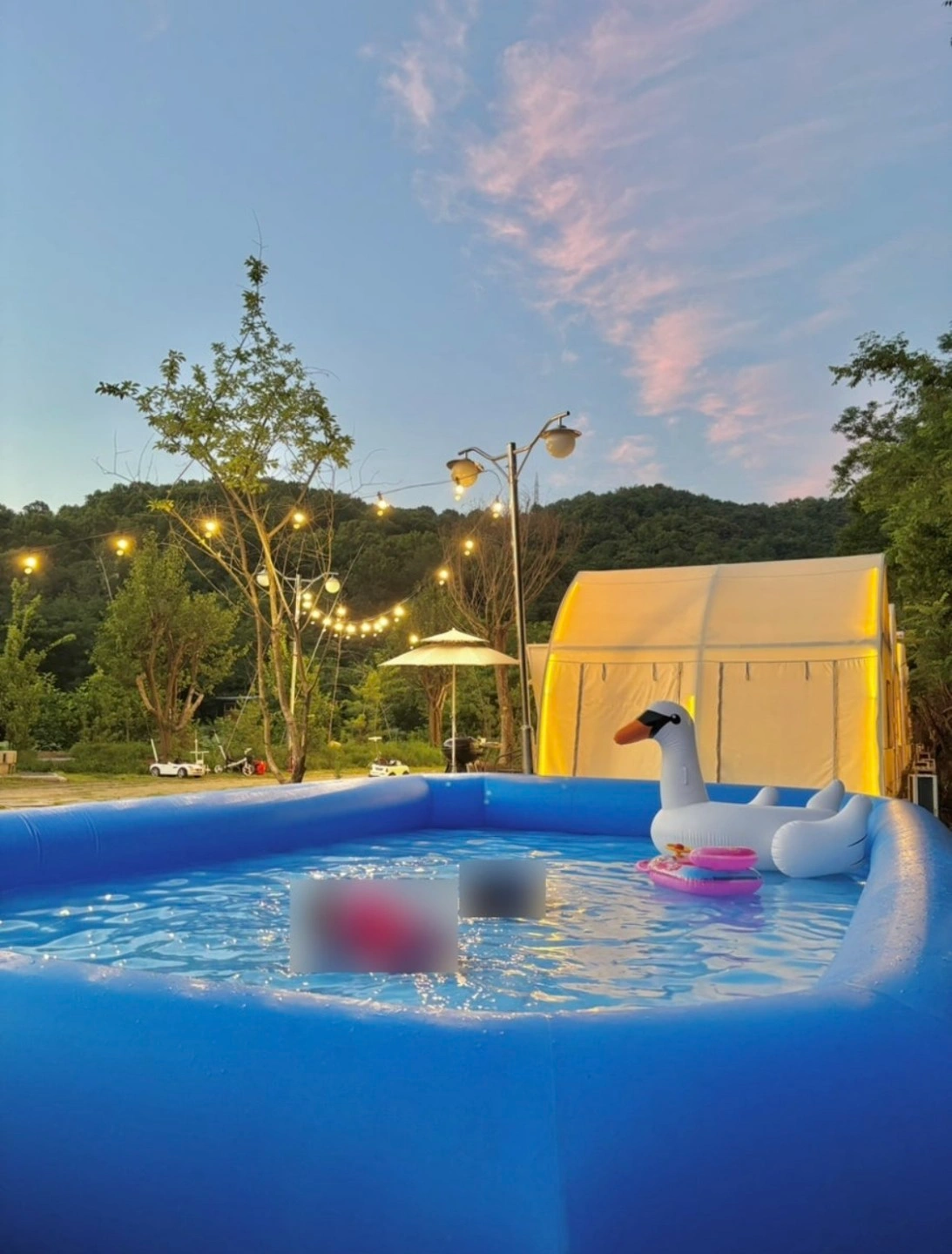 캠핑장 잔디 심기