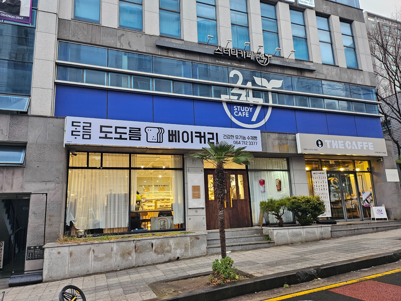 카페일하실분 공고 썸네일