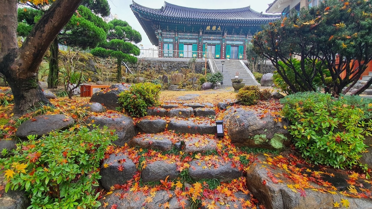 진주 평거동 용화사 종무소 사무장님 구인합니다. 공고 썸네일