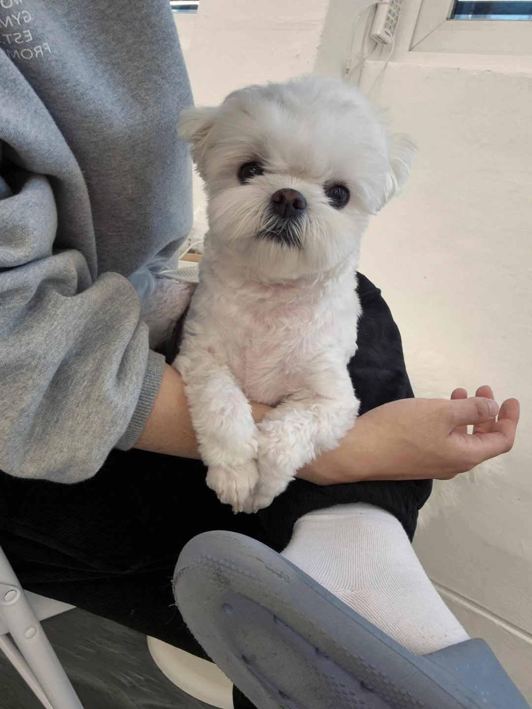 동구학동 멍댕이 유치원 알바선생님 구인중