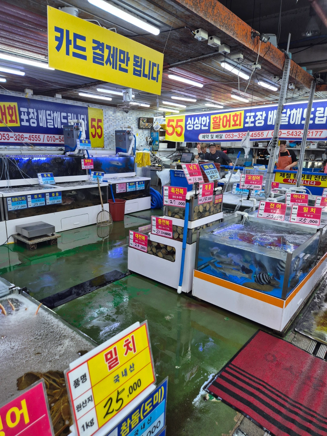1년 이상 주말 알바 구합니다