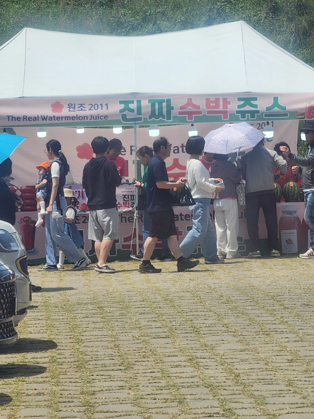 단호제 수박쥬스 판매 단기알바