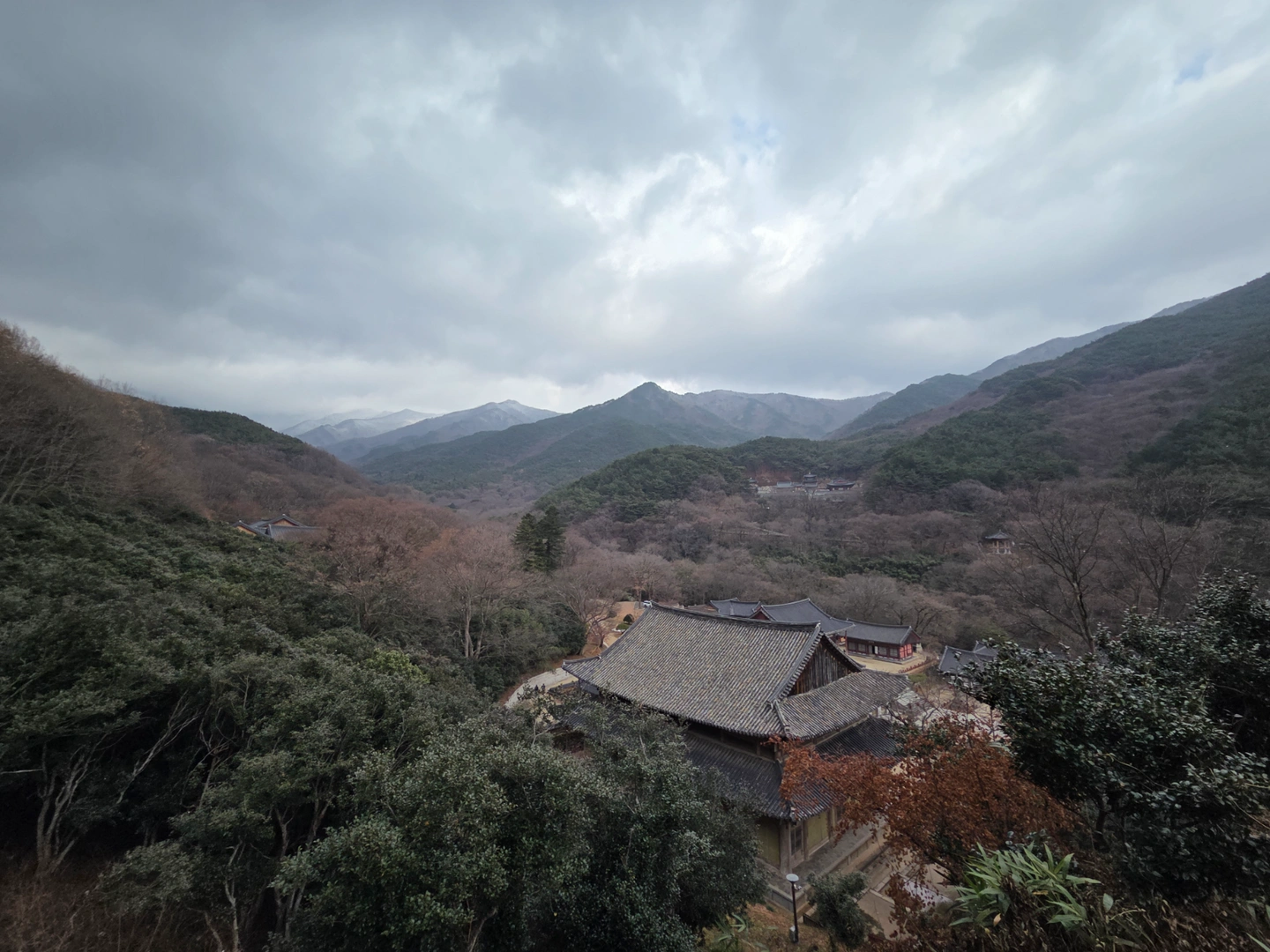 수영 초보 30대 기본기 알려주세요