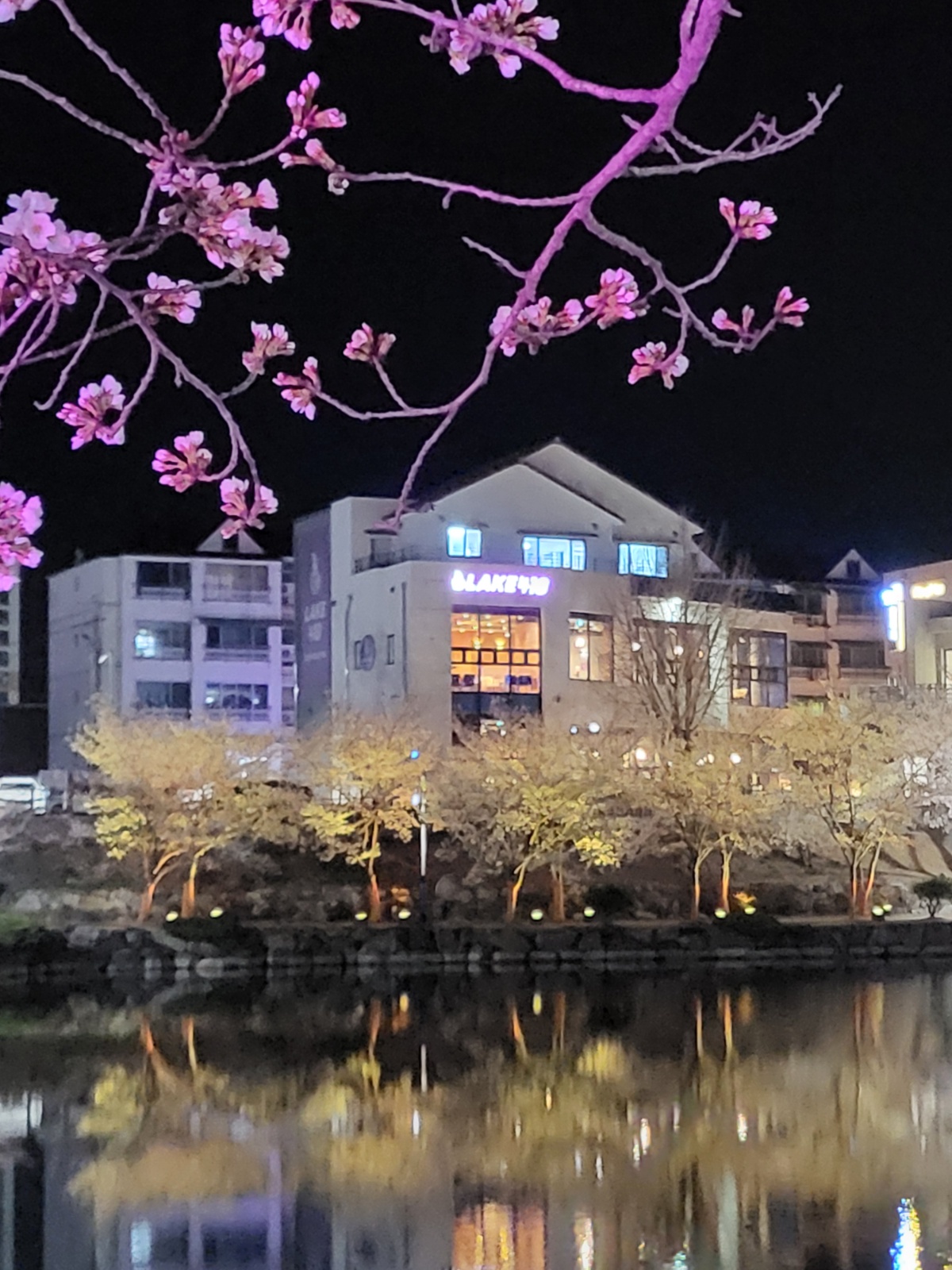 주말,공휴일 미들 타임 구합니다.(초보가능) 공고 썸네일