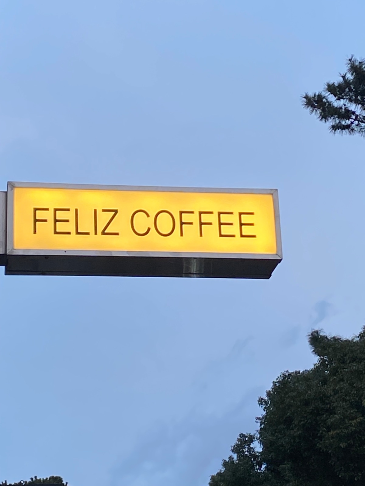 FELIZ COFFEE 노형 신상 카페 바리스타 채용 공고 썸네일