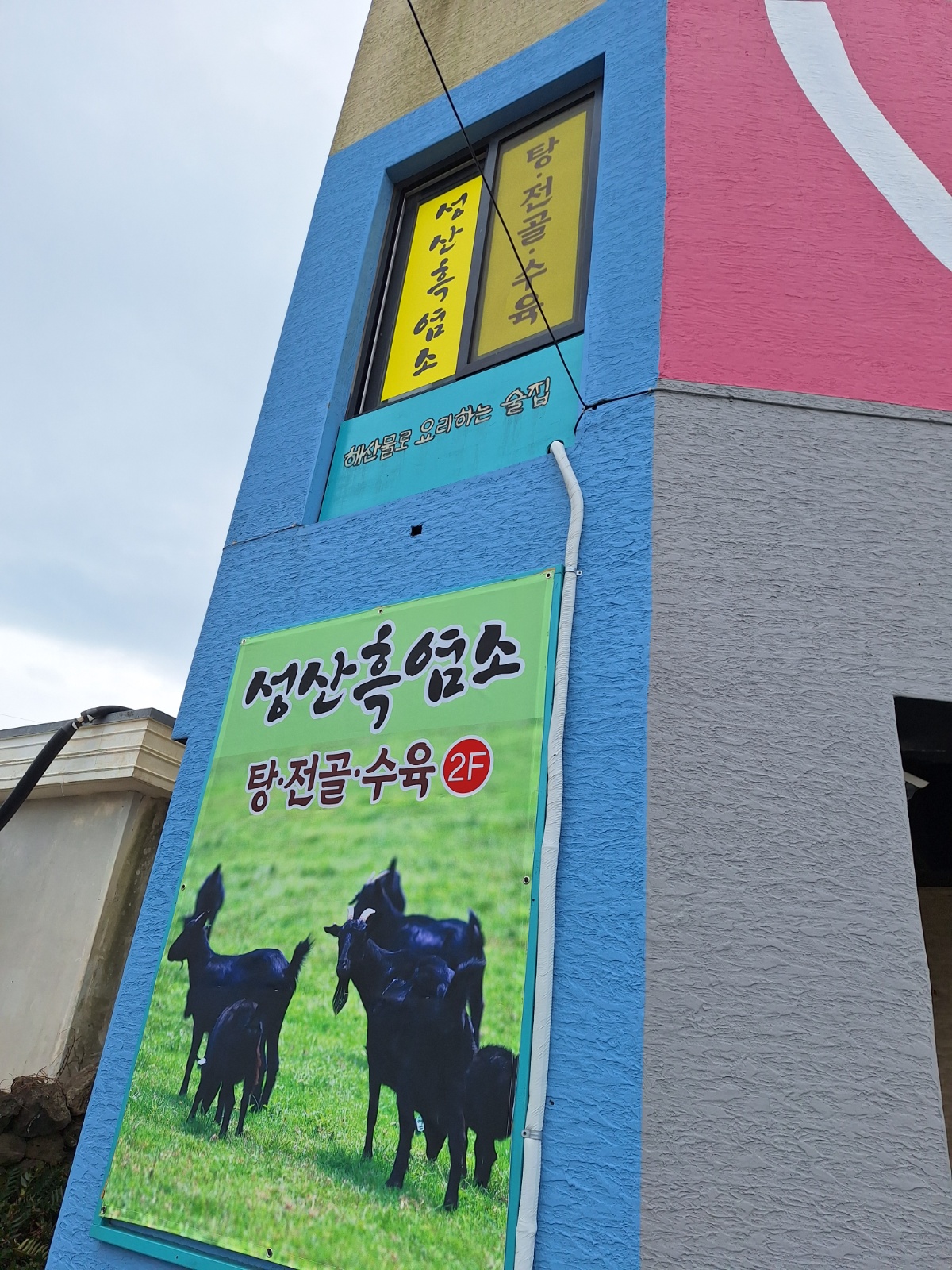 성산흑염소 식당에서 함께 잃하실분 구합니다. 공고 썸네일