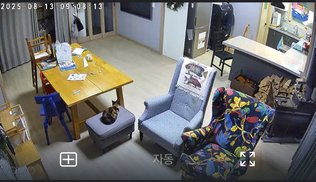 아이 식사 챙겨주실 이모님 모십니다 공고 썸네일