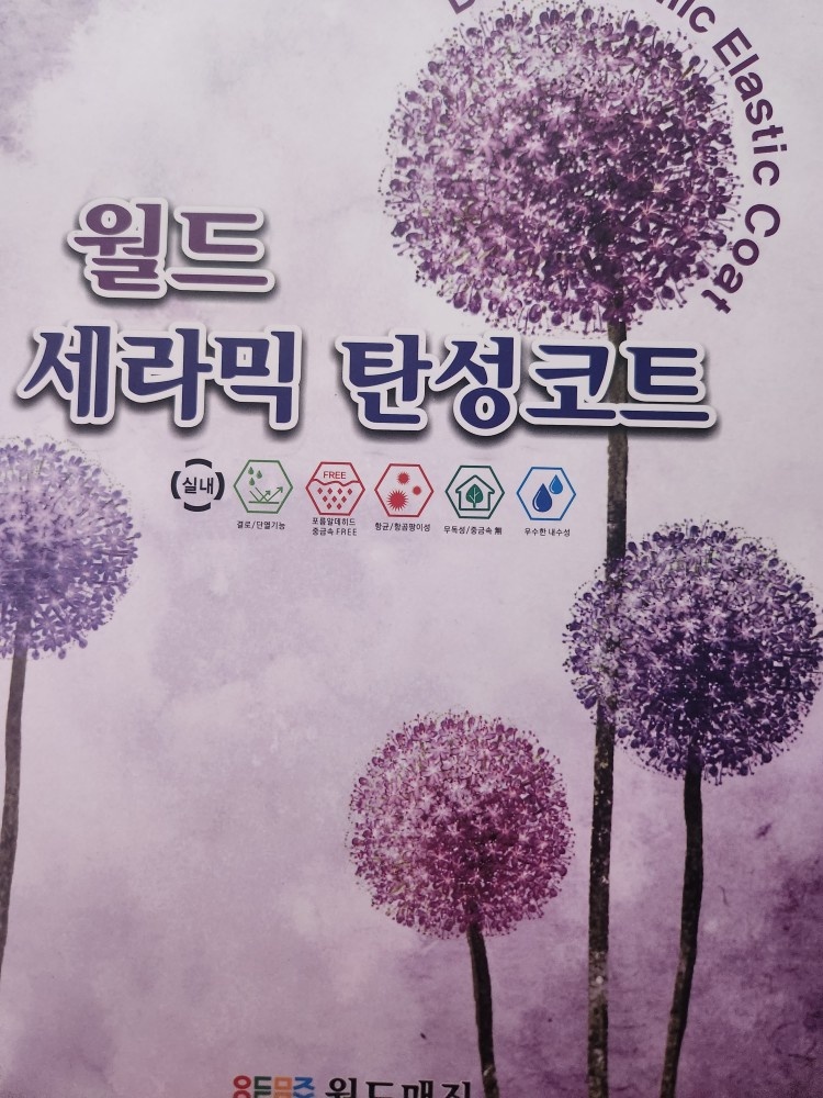 탄성코트, 페인트 배우실분 공고 썸네일