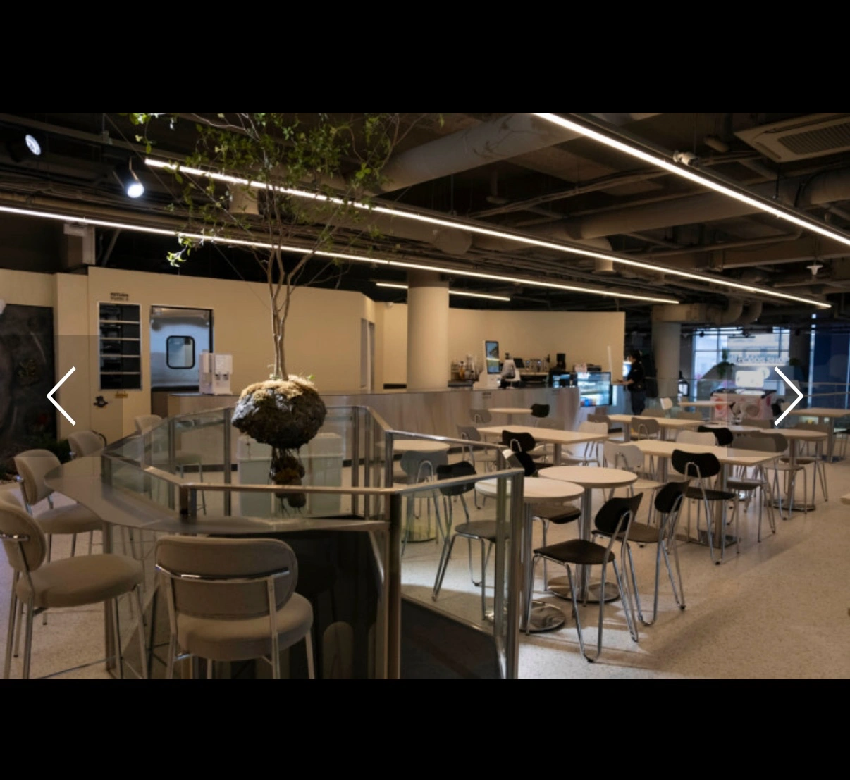 타이니어스 주말 f&b pt 구합니다