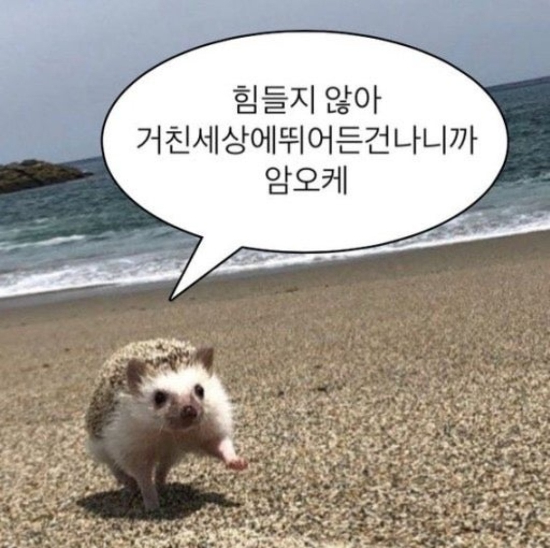 택배배송 3일이내 지급 1500원 부산진구 공고 썸네일