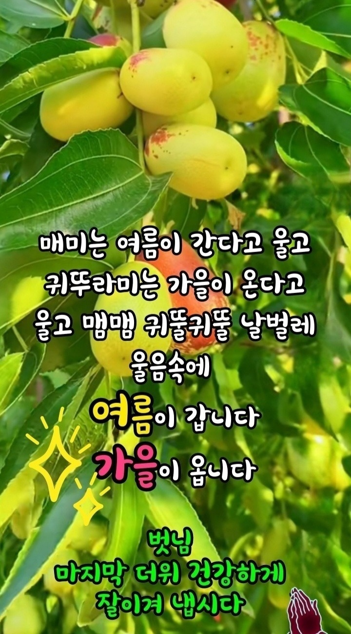 상동 늘프리드 아르바이트 장소