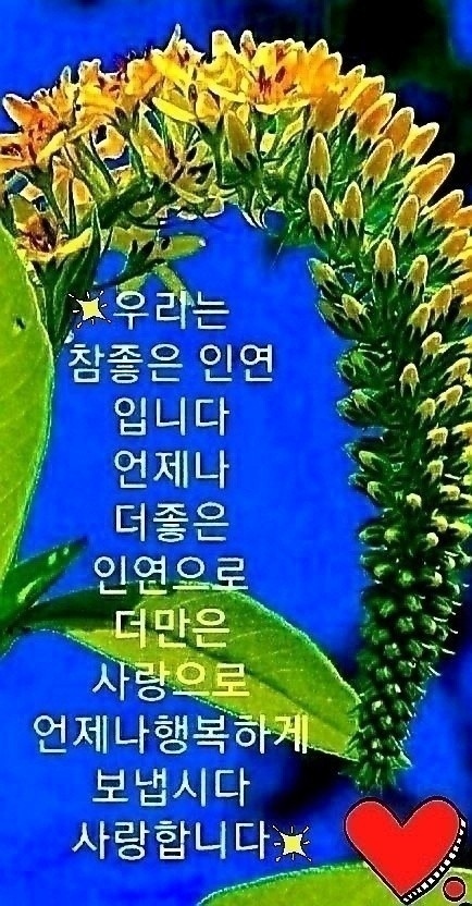 상가서빙 모집 공고 썸네일