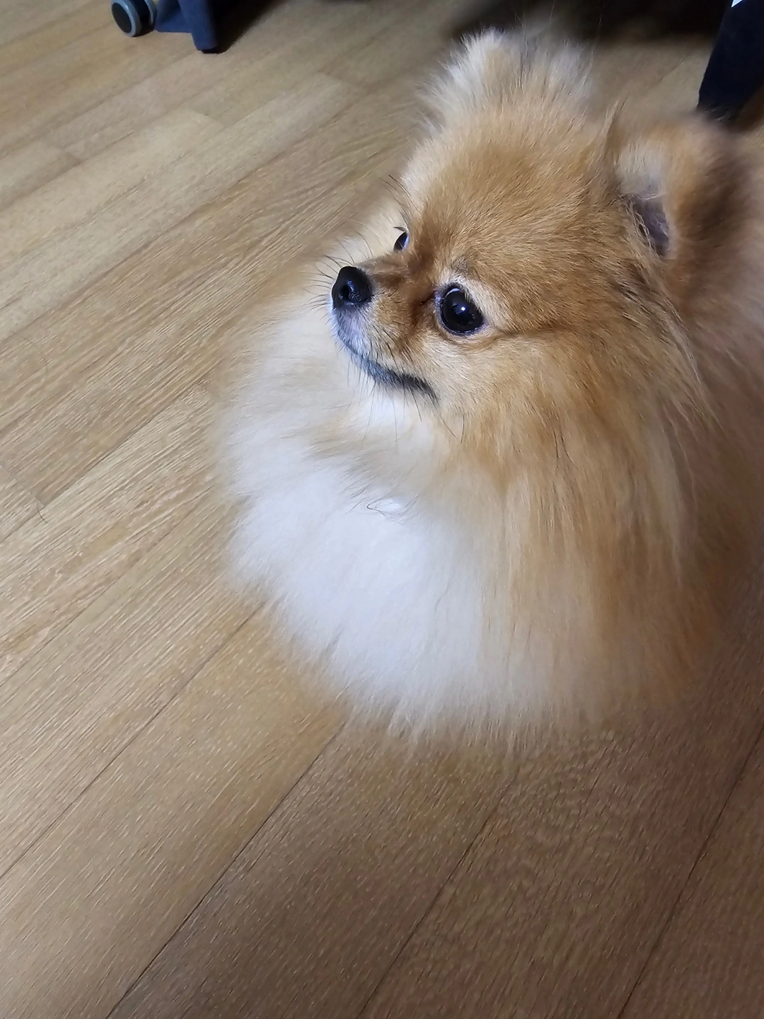 익일지급 대학교안내책자 포장 정리 작업