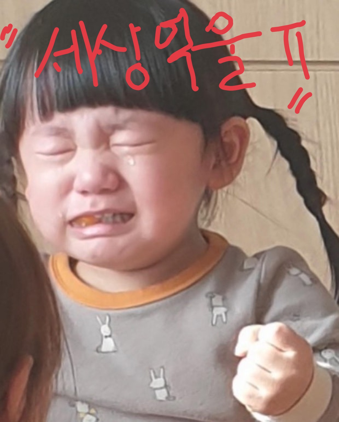 법학 공부 하시는분 있으실까요 공고 썸네일
