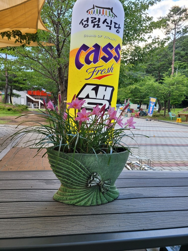 정직원및알바구해요.시급도가능합니다. 공고 썸네일