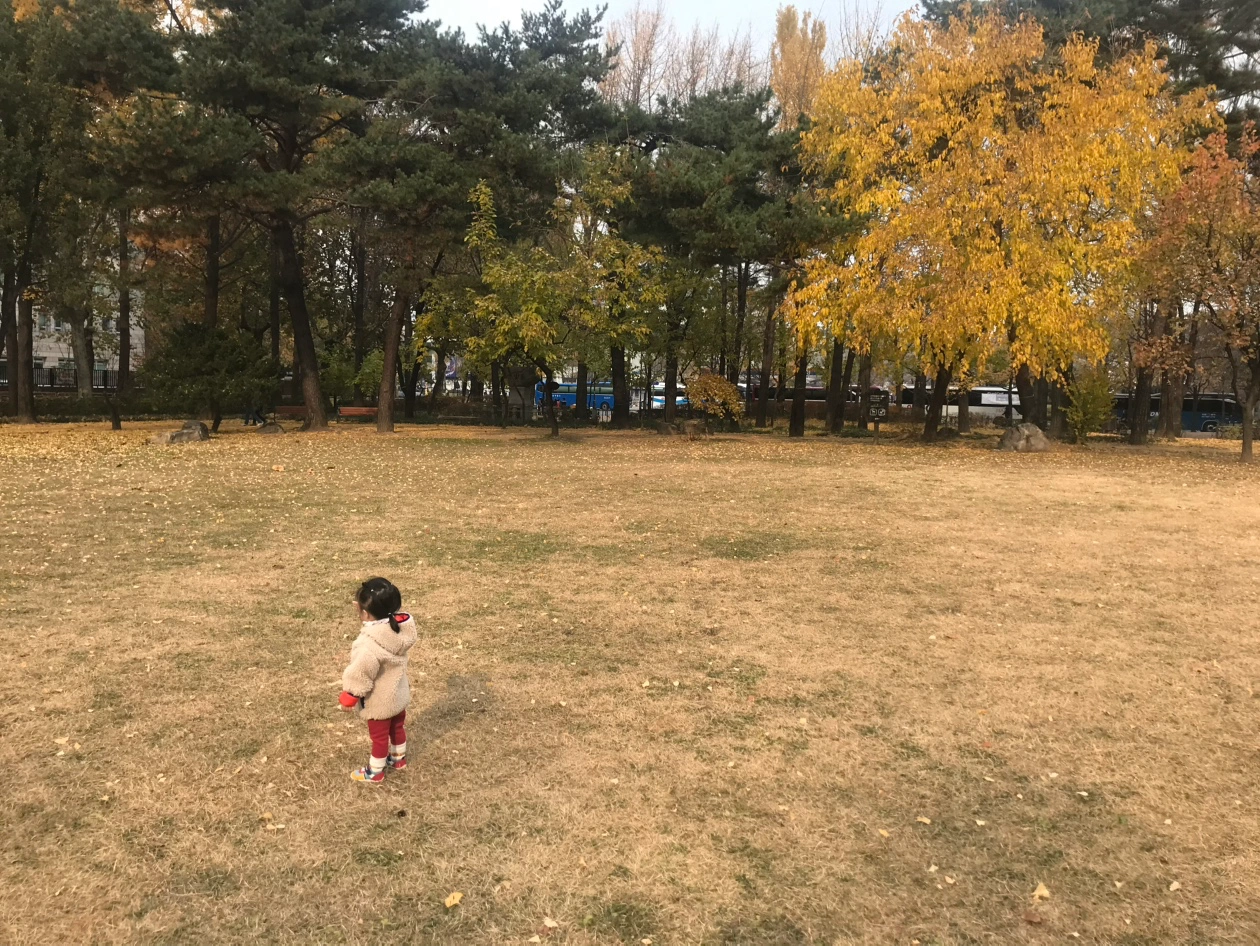 쌍둥이네 청소 도와주실 분 구해요