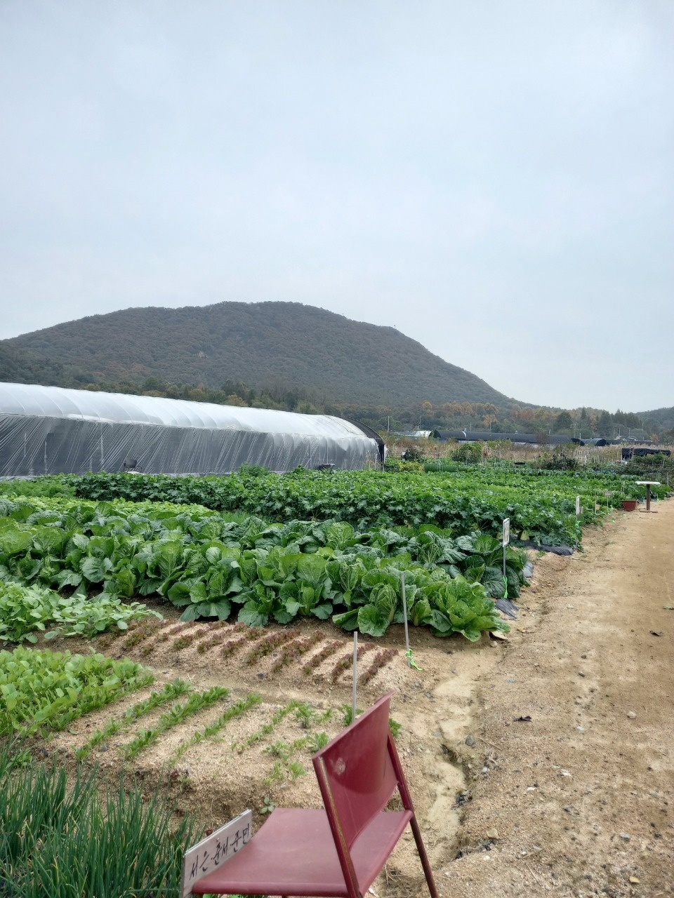 농장 밭정리  비닐수거 주말 도로정리 공고 썸네일