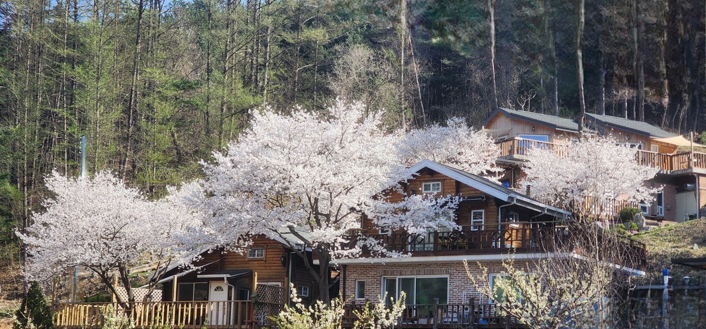 화촌면 서나와 할아버지 통나무집 아르바이트 장소