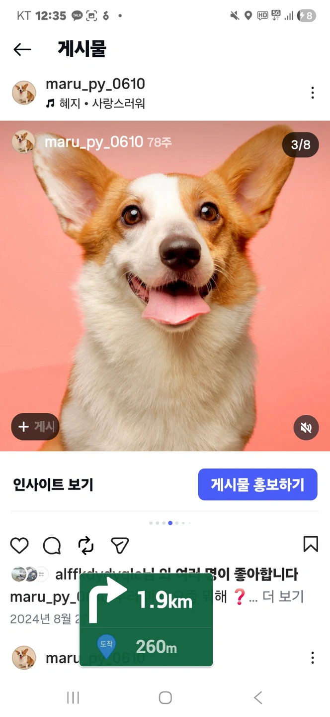 강아지 돌봄