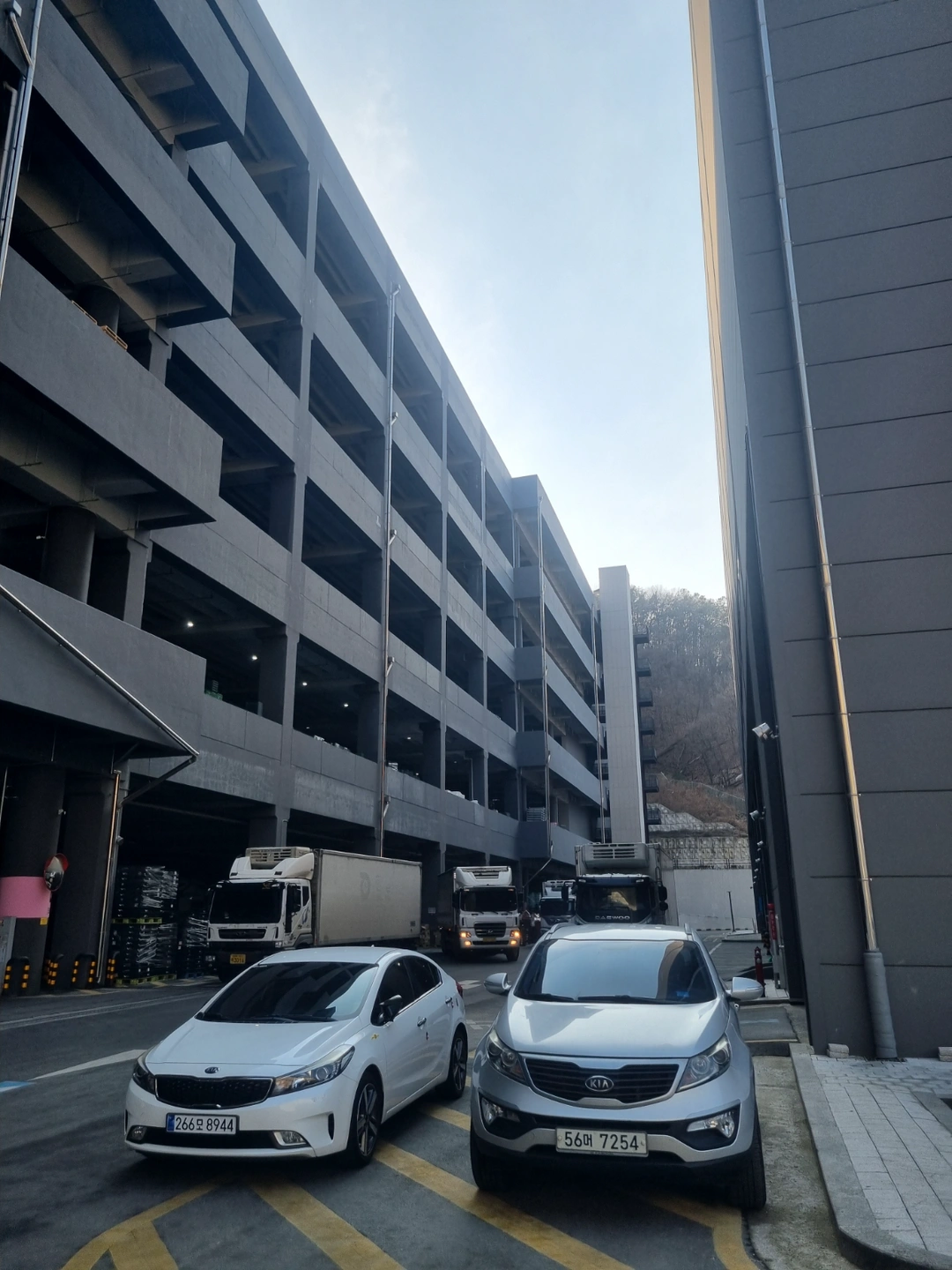 마평 신설물류 채용/꿀업무/주간/동반/외국인가능