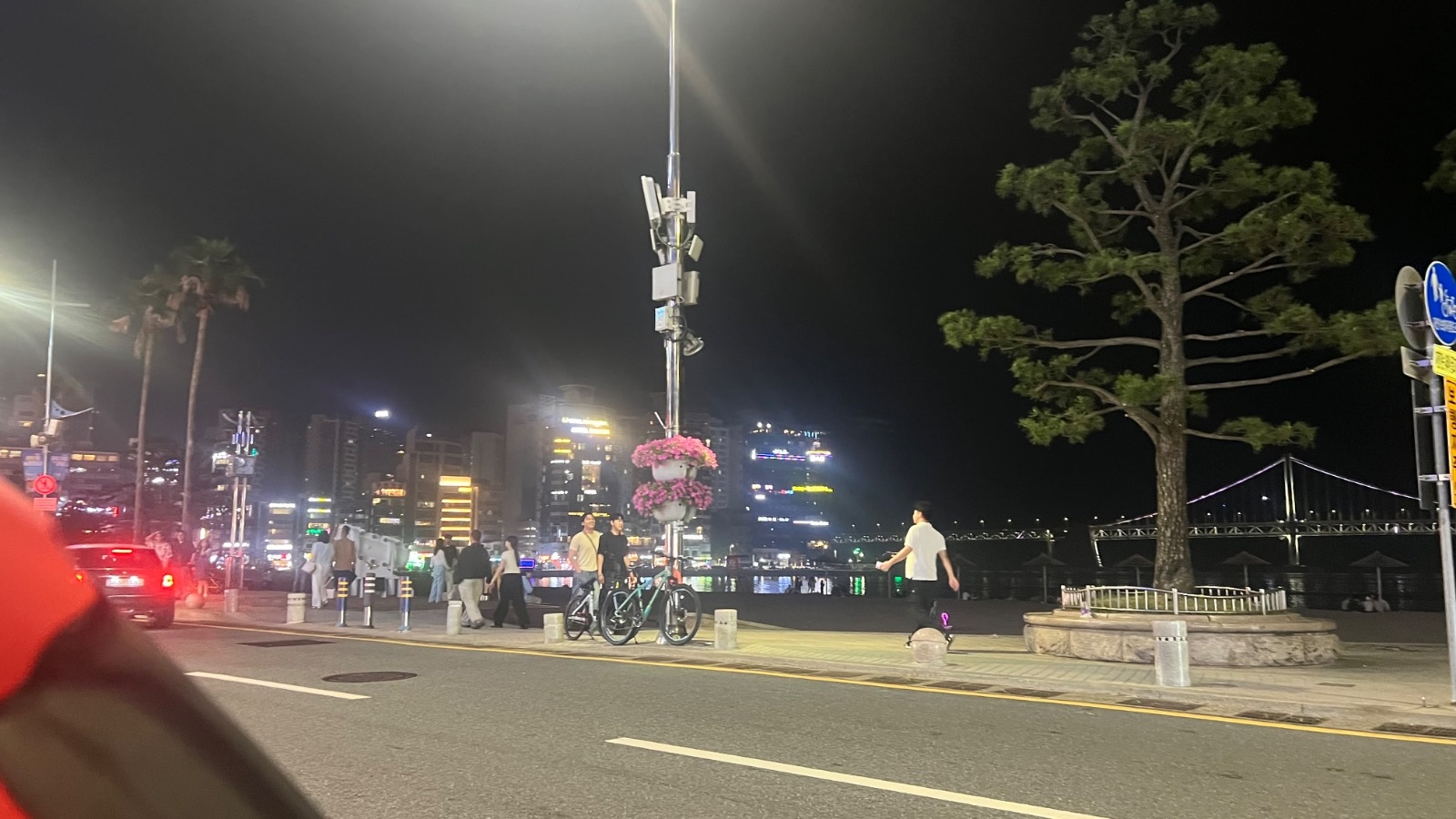 집안가사일 , 고양이들방청소 공고 썸네일