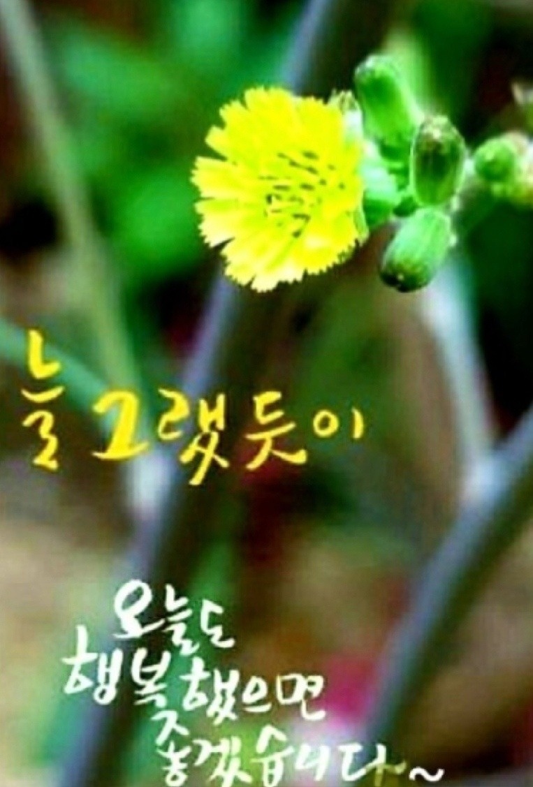 알바