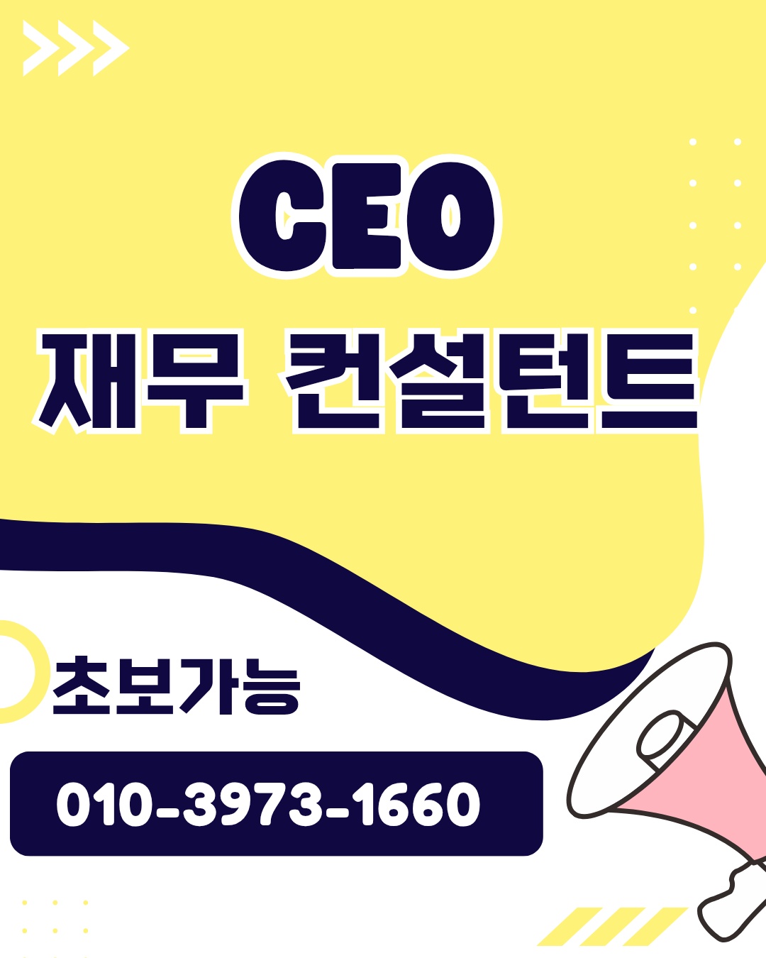 CEO 재무 컨설턴트 업무(초보가능) 공고 썸네일