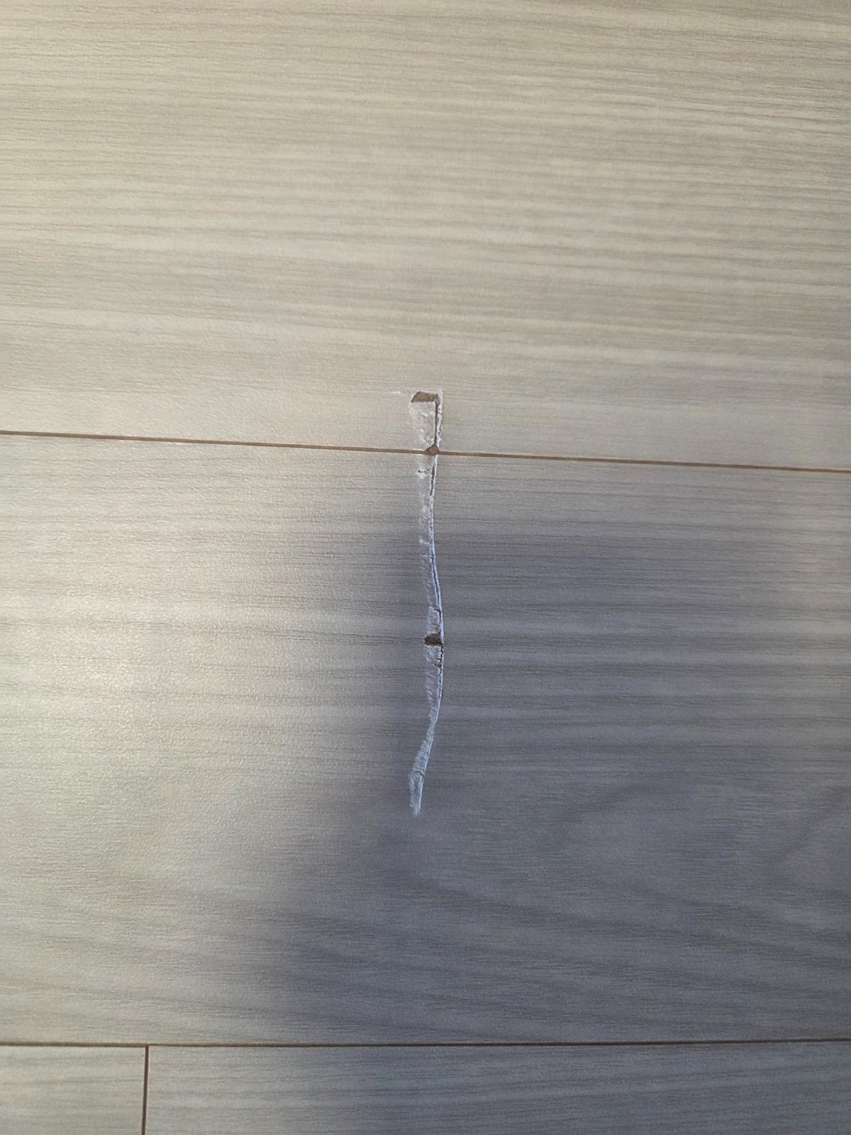 강화마루? 강마루 보수 또는 교체 공고 썸네일