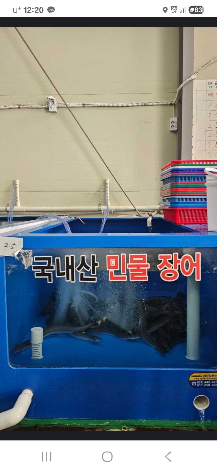장어손질 하실분 공고 썸네일