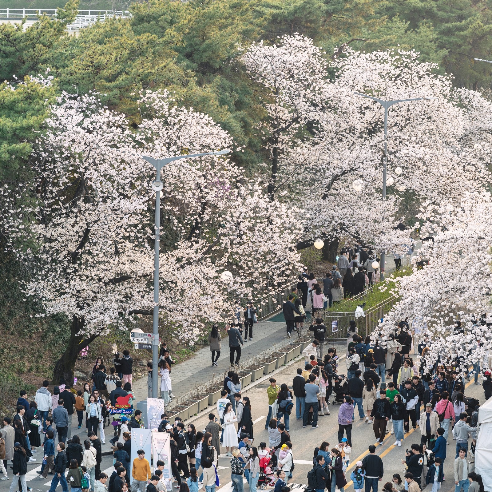 10(월) 경마공원 야외텐트설치알바 공고 썸네일