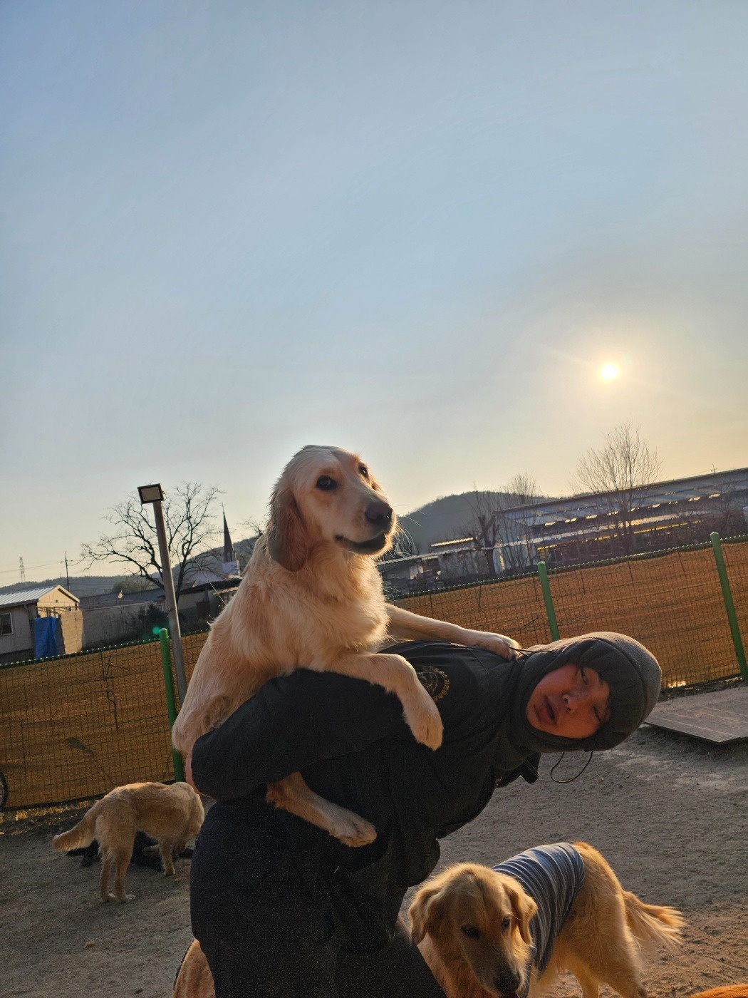 애견유치원에서 직원구합니다 공고 썸네일