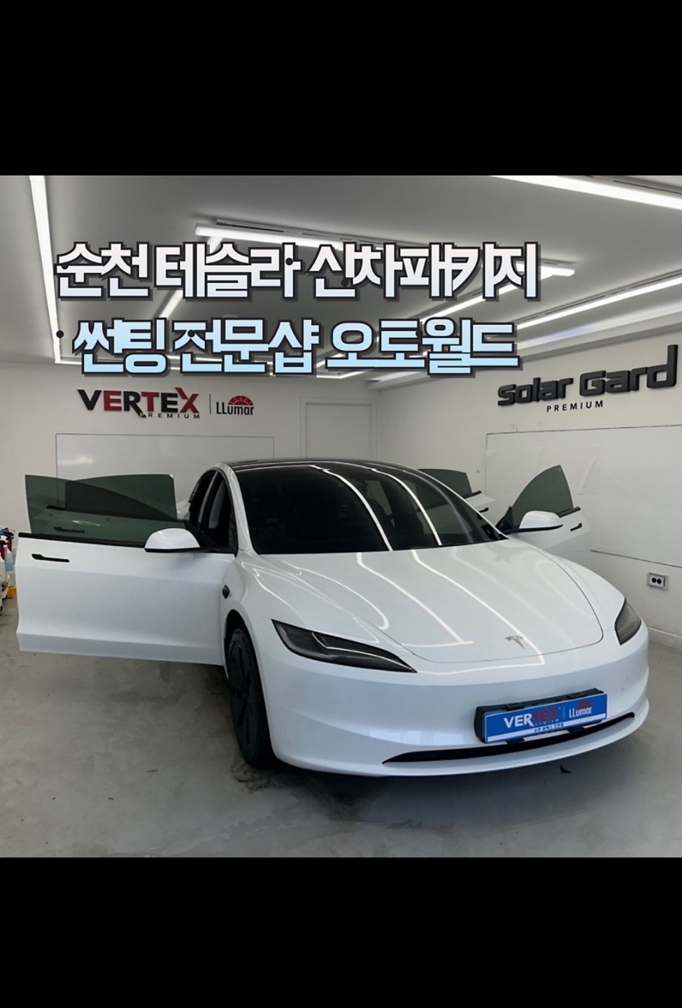 초보, 경력자 썬팅 하실분 구합니다. 공고 썸네일
