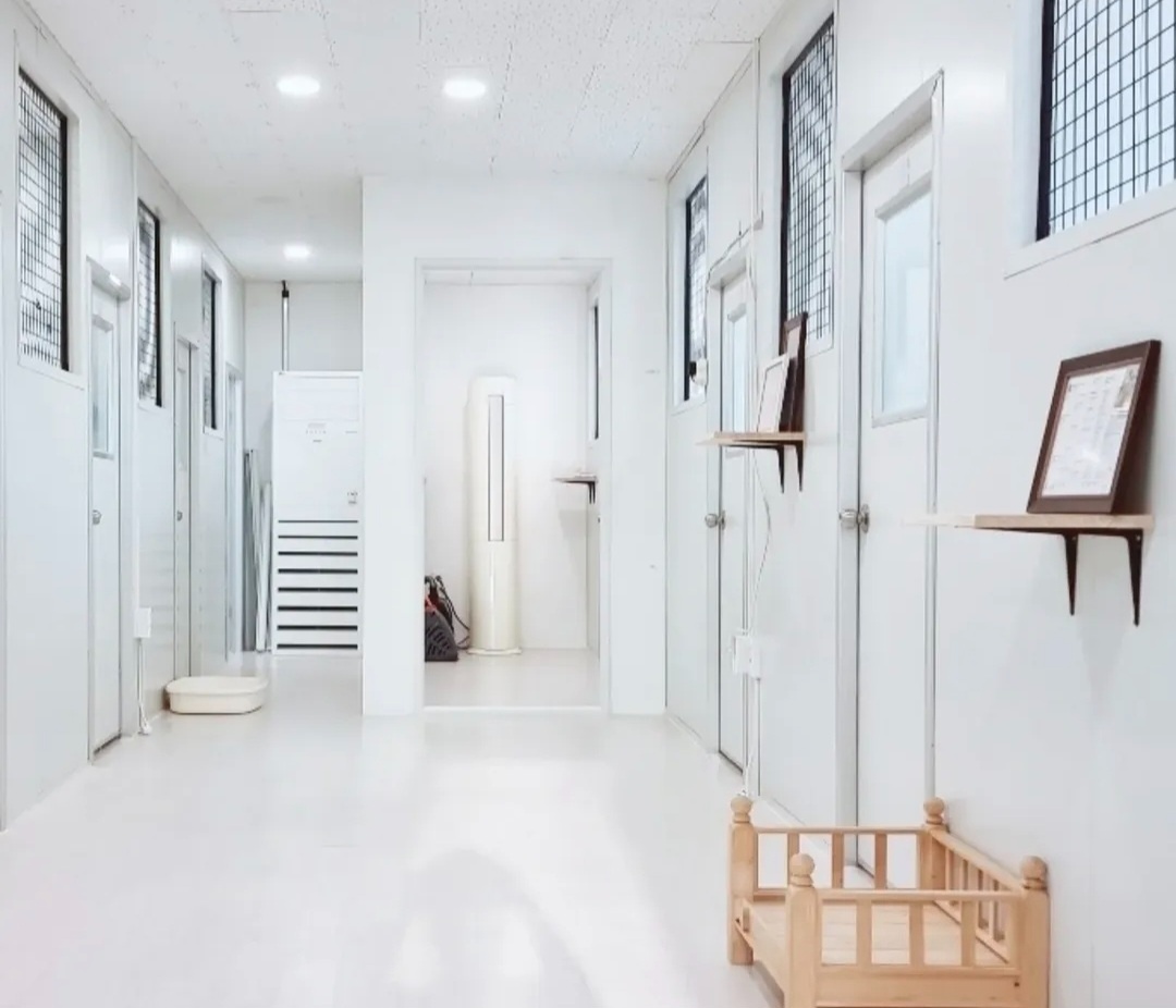 성묘고양이 돌봄 공고 썸네일