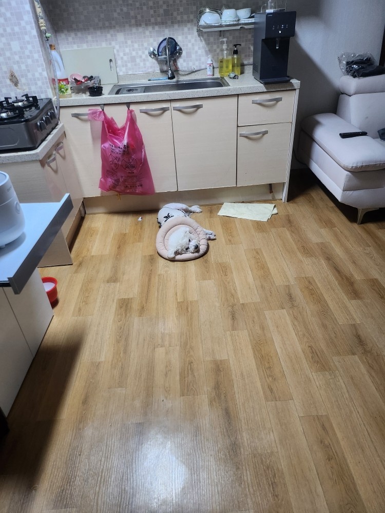 9월7일 집청소깔끔하게해주실분 구합니다 공고 썸네일