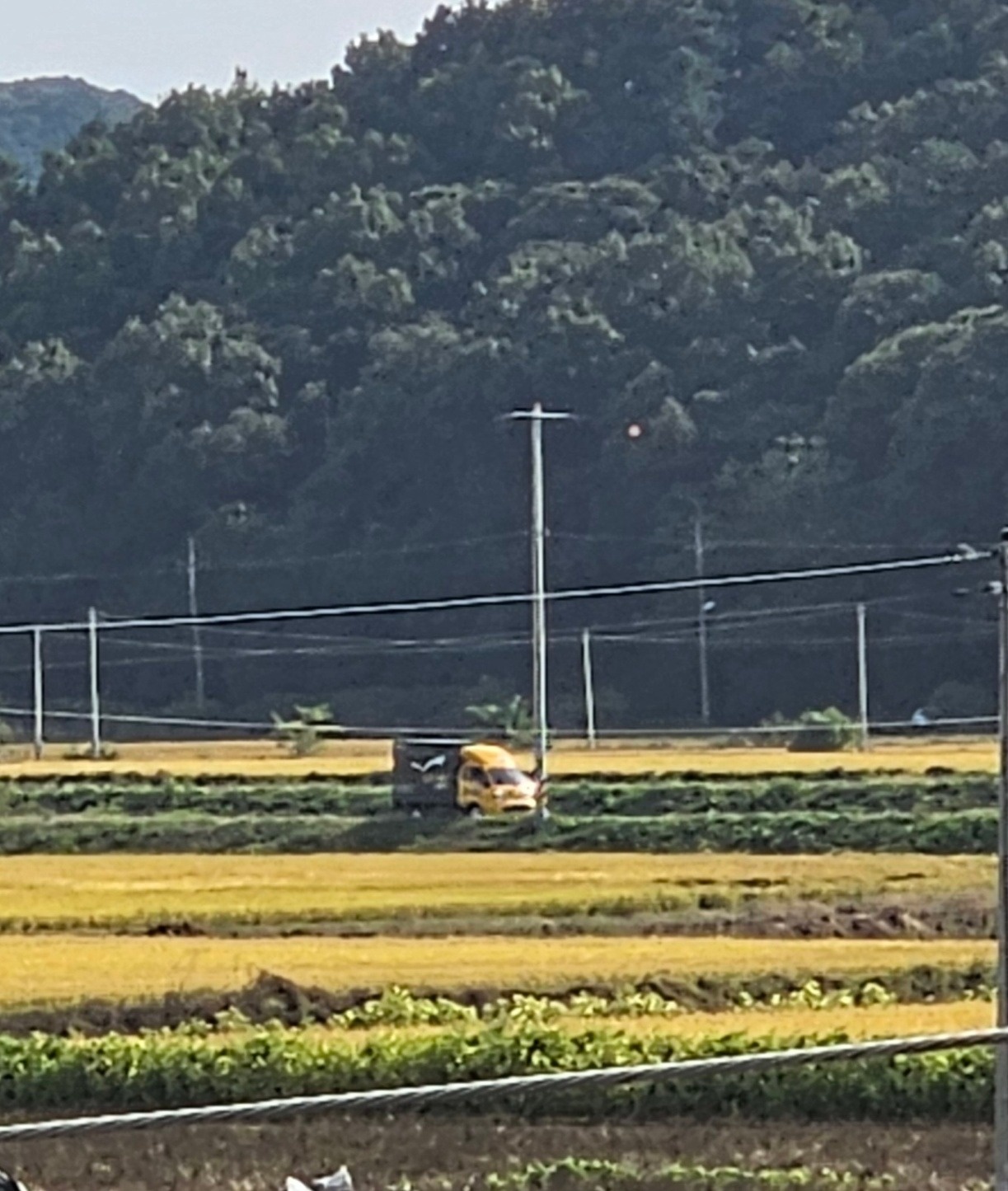 로젠택배   일산풍동 영업소장1명 구인합니다 공고 썸네일