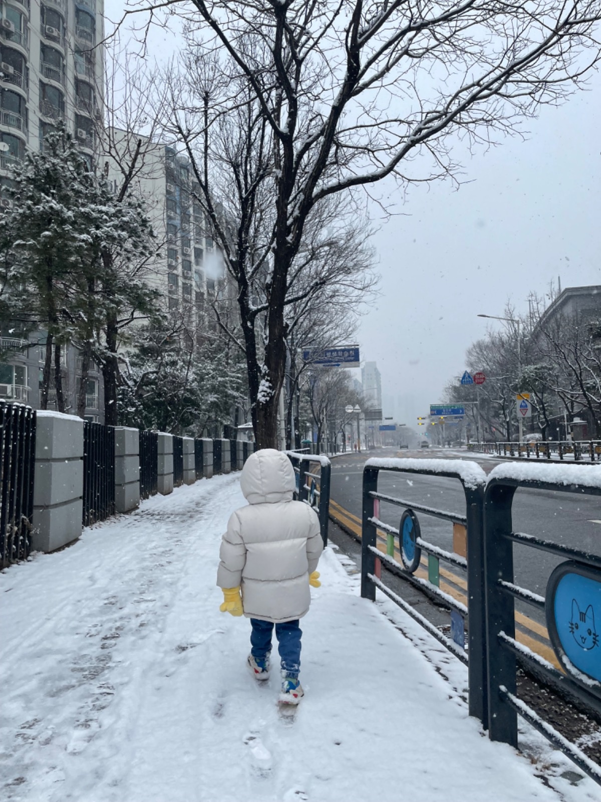 6세 등하원 도우미 구합니다 공고 썸네일