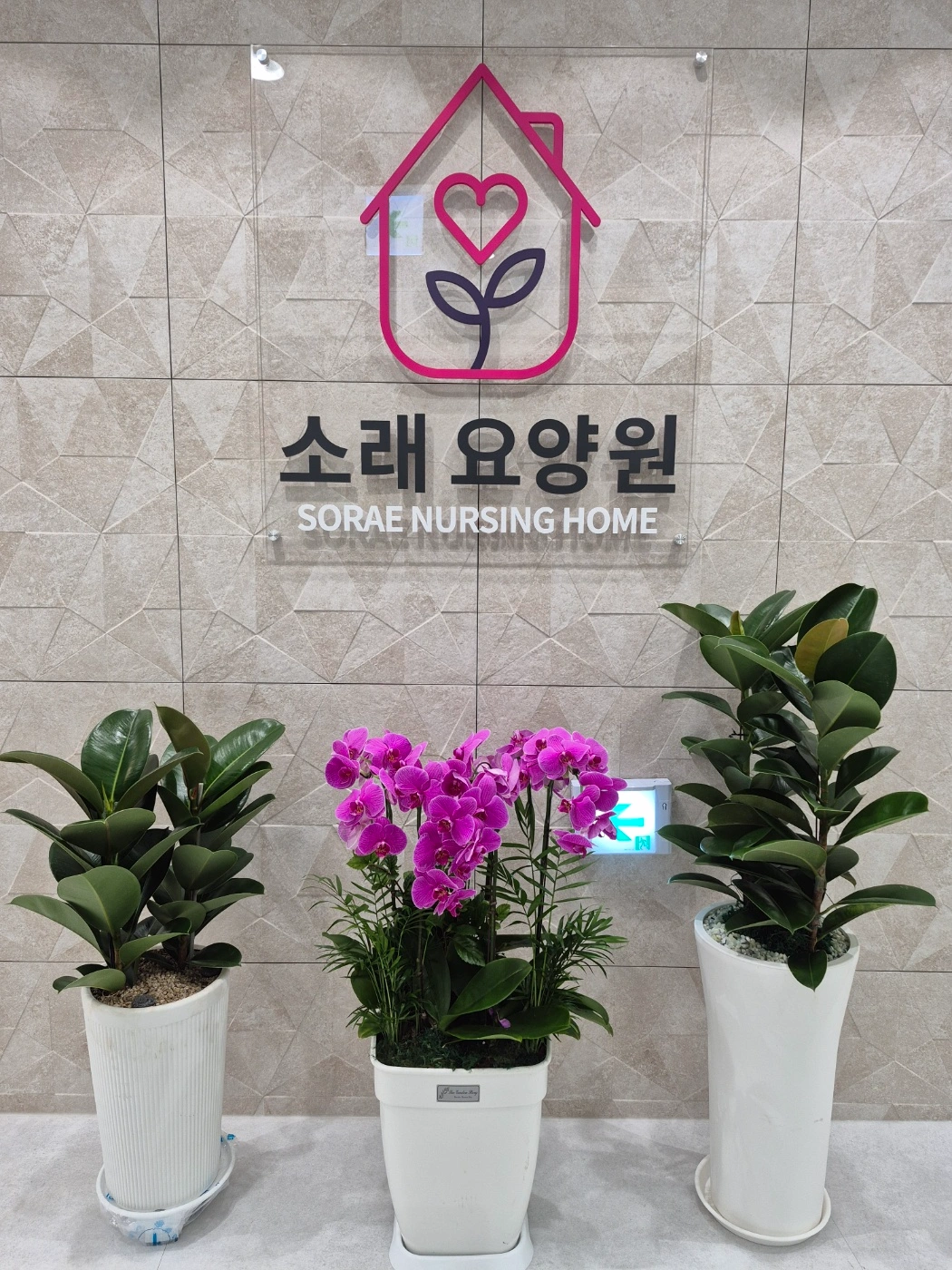 요양원 요양보호사(야간전담,주야비)구인