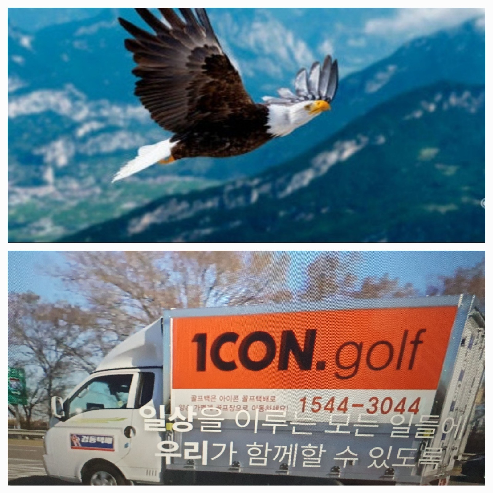 경동택배 양산신기 정직원모십니다^^ 공고 썸네일
