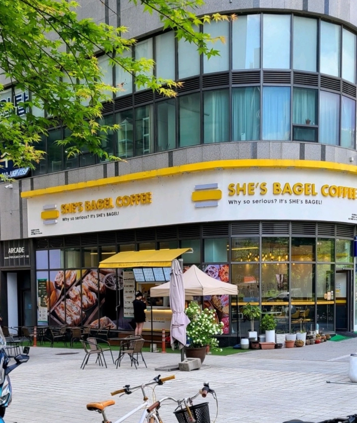 커피 제조, 베이글 제조 평일,