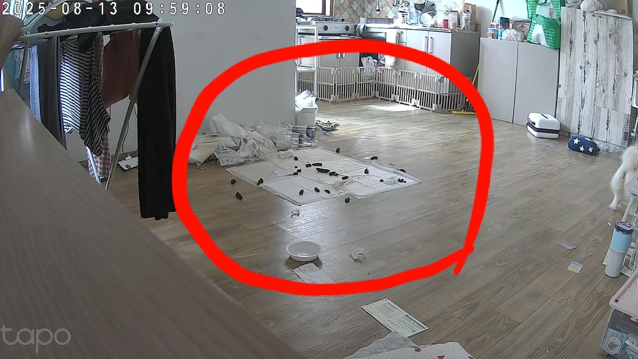 공고글 꼼꼼히 봐주세요. 공고 썸네일